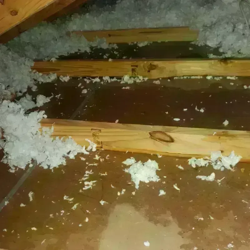 Attic Water Damage in Parsons, TN