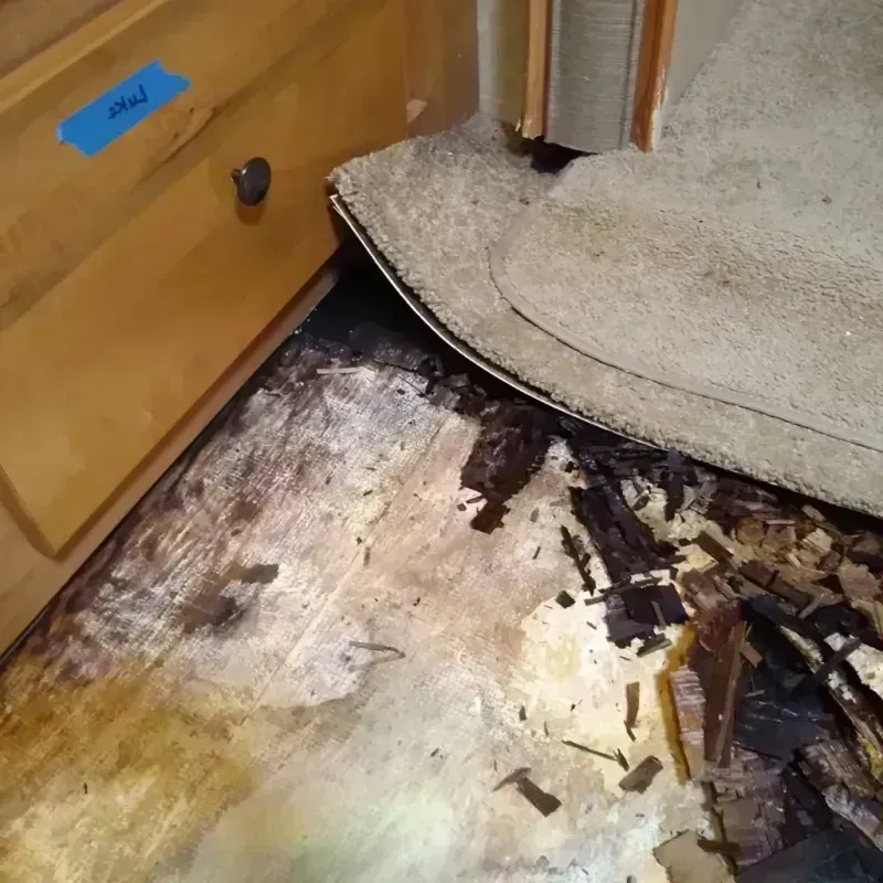 Wood Floor Water Damage in Parsons, TN